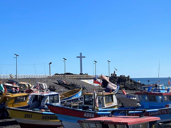 Vista panorámica al mar y bosque, Curanipe (174387)
