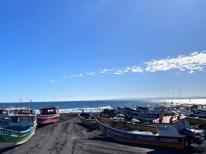 Vista panorámica al mar y bosque, Curanipe (174387)
