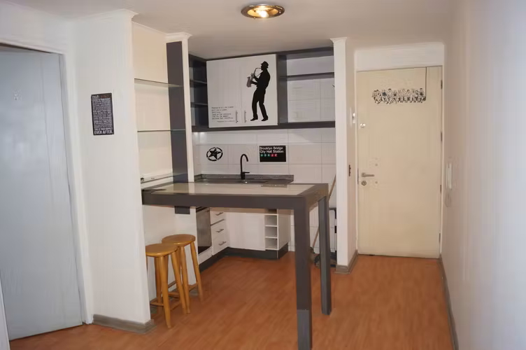 Arriendo acogedor depto 1 dormitorio suite Metro Sta Lucia Santiago - Imagen 3