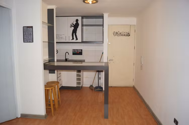 Arriendo acogedor depto 1 dormitorio suite Metro Sta Lucia Santiago - Imagen 9