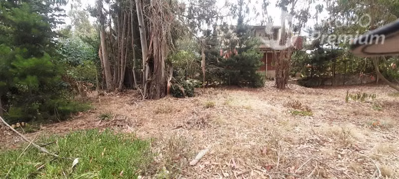 Sitio en venta en El Quisco