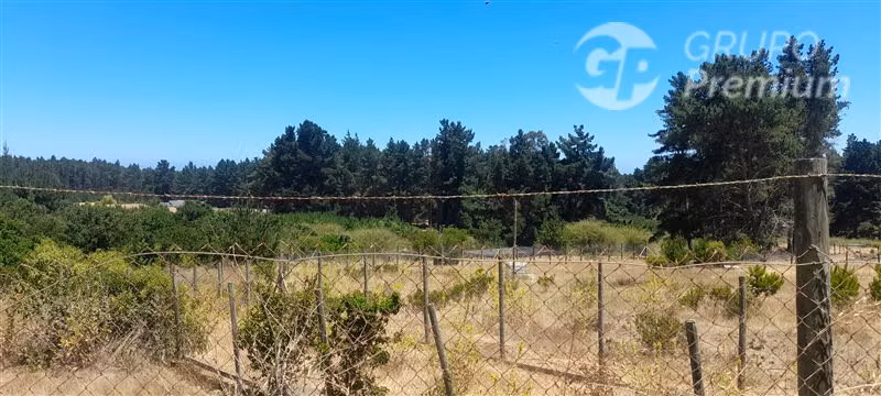 Terreno Construccion en Venta en Algarrobo