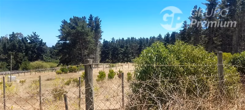 Terreno Construccion en Venta en Algarrobo
