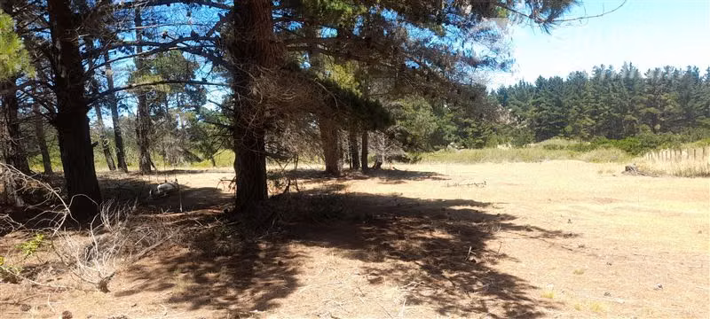 Terreno Construccion en Venta en Algarrobo