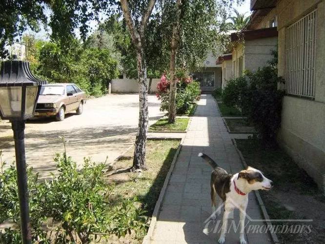 Casa Amplia en condominio pleno centro Quilpue (174413)