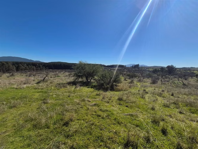 PARCELA CHILLÁN