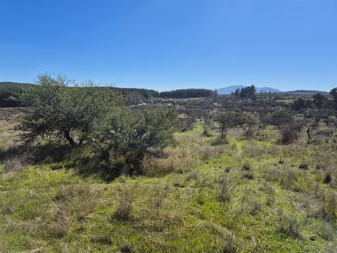 PARCELA CHILLÁN
