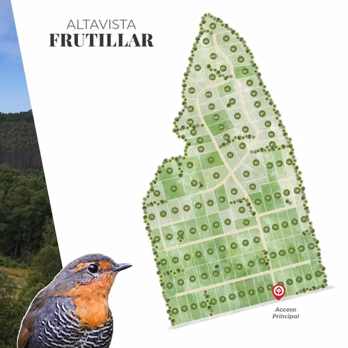 PARCELA Frutillar