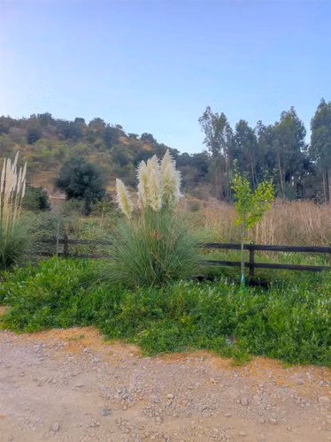PARCELA San Fernando