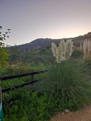 PARCELA San Fernando