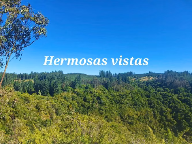 PARCELA MATANZAS - Imagen 14