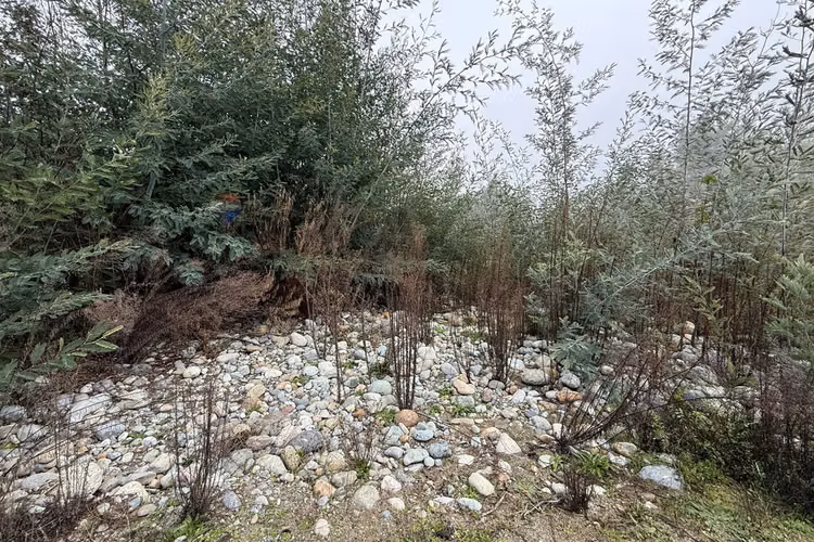 En venta complejo turístico vega de ancoa linares
