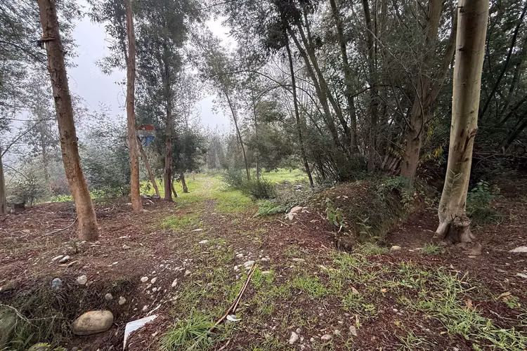 En venta complejo turístico vega de ancoa linares