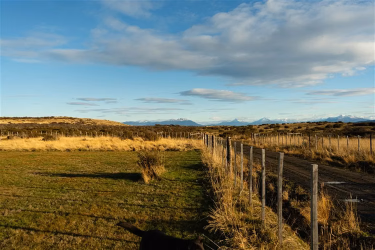 Casa en venta de 3 dorm. y terr. de 5000 m2 en Natales