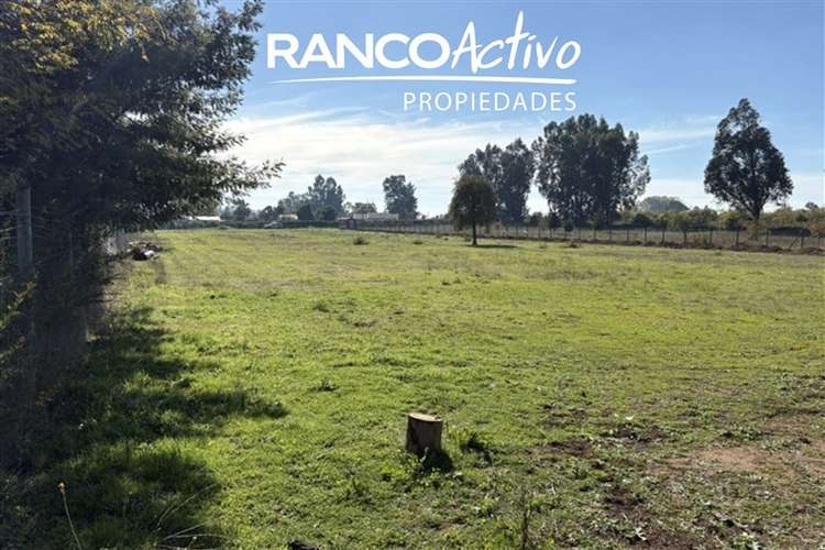 Sitio en venta en Chillán Viejo - Imagen 3