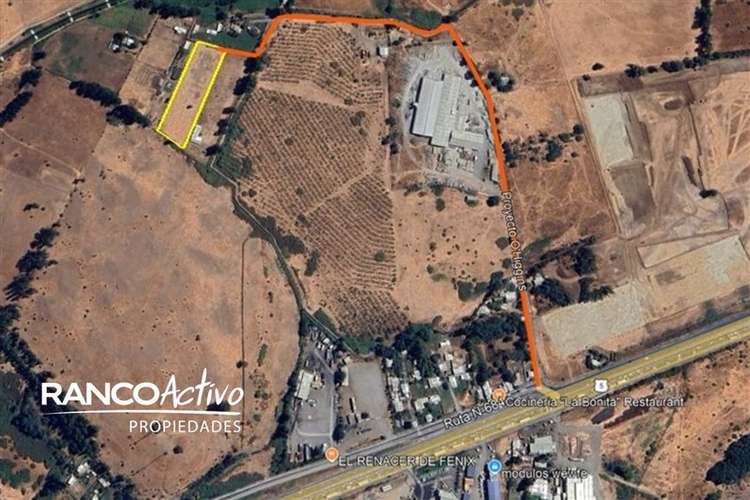 Sitio en venta en Chillán Viejo - Imagen 7