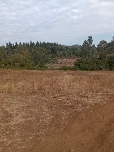 Se Vende Parcela En Coihueco, Chillán
