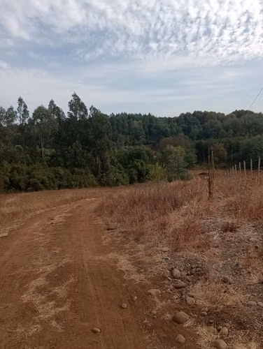 Se Vende Parcela En Coihueco, Chillán
