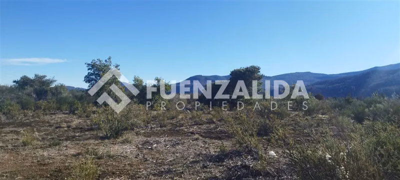 Sitio en venta en Tucapel