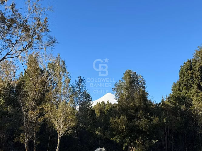 Refugio Rústico: Naturaleza y Paz en El Zorro | Ensenada
