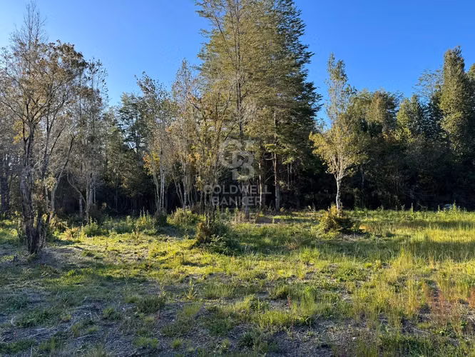 Refugio Rústico: Naturaleza y Paz en El Zorro | Ensenada