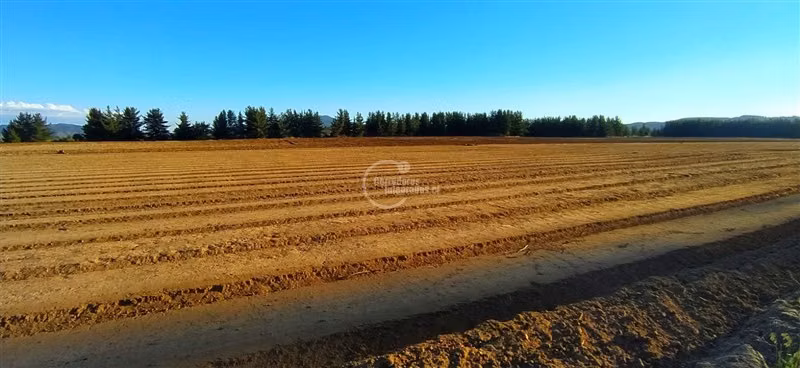 Agrícola en venta en Lolol - Imagen 4