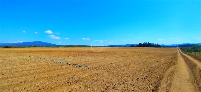 Agrícola en venta en Lolol - Imagen 5
