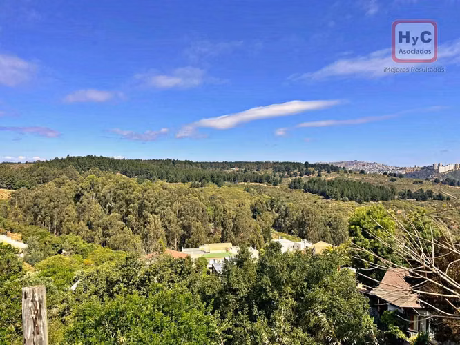 Macrolote 20.000 m² Hacienda Reñaca | Eje de Expansión y Plusvalía