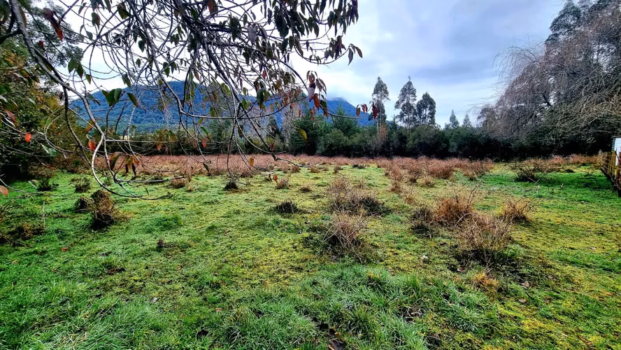 Parcela de 5.631 m² en Correntoso a metros de Parque Alerce Andino – Puerto Montt