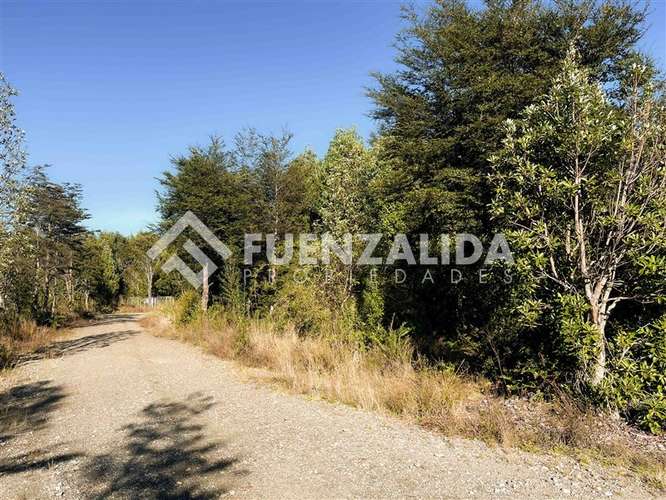 Venta Parcela Condominio Acceso Controlado Camino Las Lomas - Imagen 8