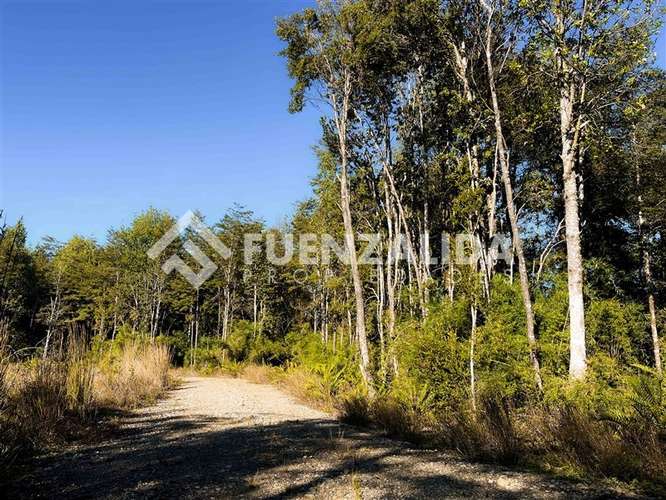 Venta Parcela Condominio Acceso Controlado Camino Las Lomas - Imagen 6