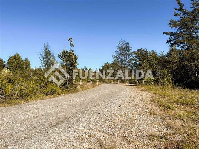Venta Parcela Condominio Acceso Controlado Camino Las Lomas - Imagen 10