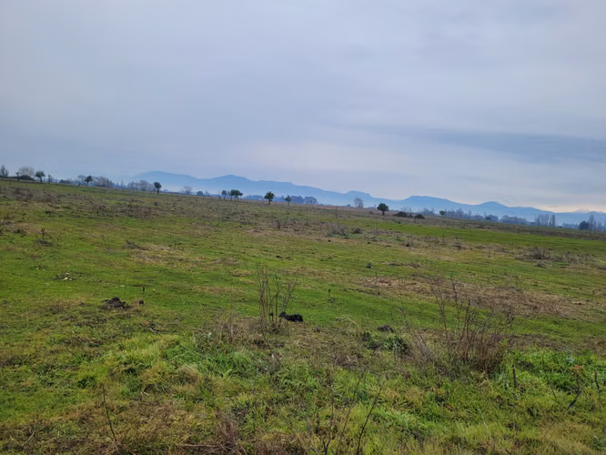 parcela agricola 115 hectareas