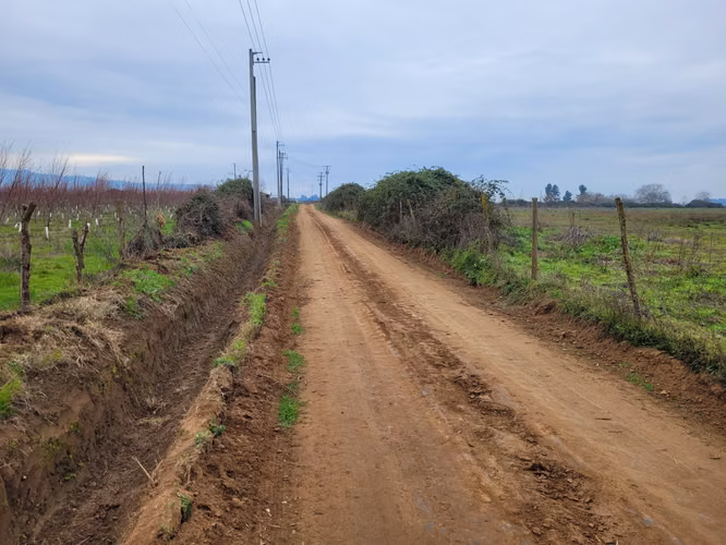 parcela agricola 115 hectareas