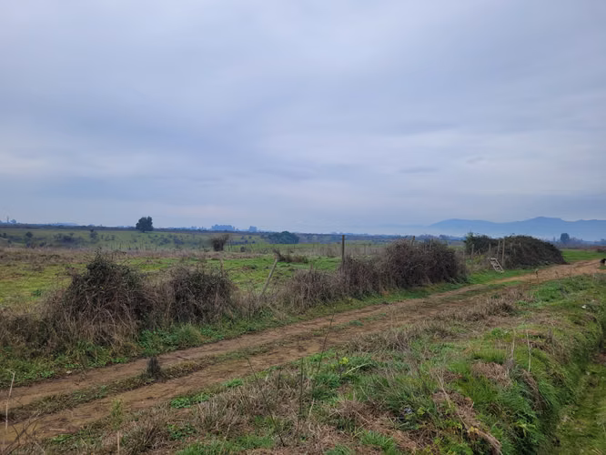 parcela agricola 115 hectareas