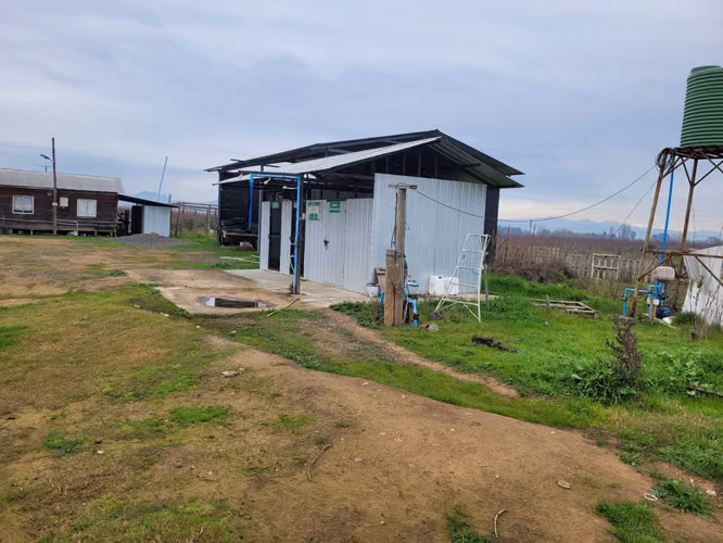 parcela agricola 115 hectareas