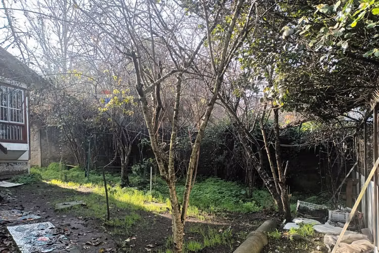 Sitio 178 m² con cabaña en hualqui