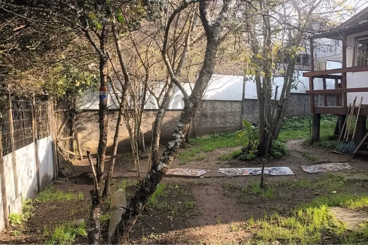 Sitio 178 m² con cabaña en hualqui
