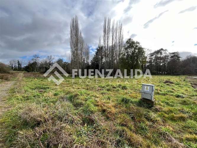 Parcela 5.000 m2 - Parcelación Fundo Frutillar - Imagen 6
