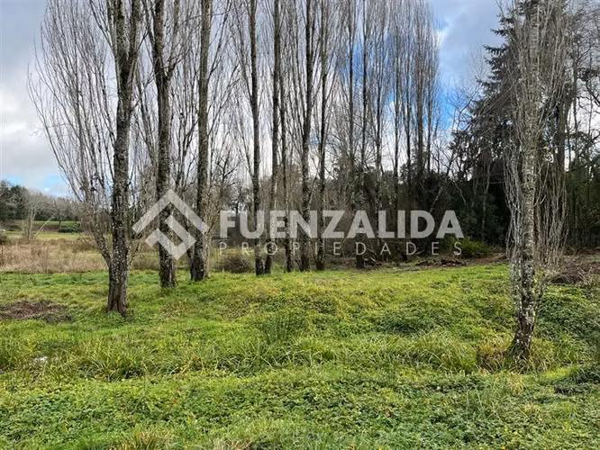 Parcela 5.000 m2 - Parcelación Fundo Frutillar