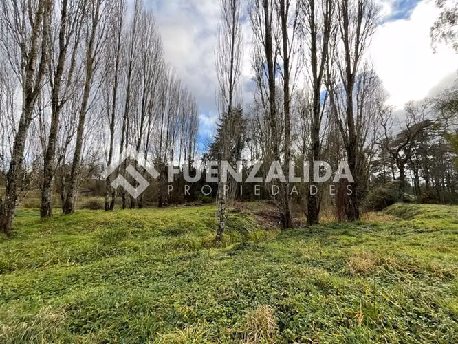 Parcela 5.000 m2 - Parcelación Fundo Frutillar