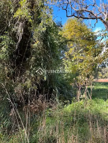 Sitio 5.000 m2 - Parcelación Fundo Frutillar