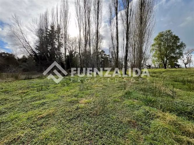 Sitio 5.000 m2 - Parcelación Fundo Frutillar