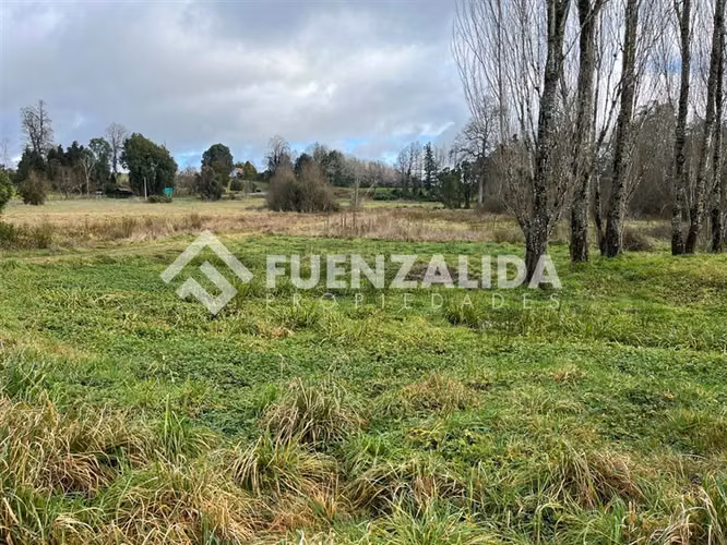 Sitio 5.000 m2 - Parcelación Fundo Frutillar