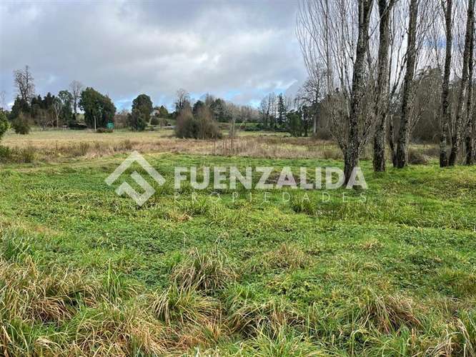 Sitio 5.000 m2 - Parcelación Fundo Frutillar - Imagen 10