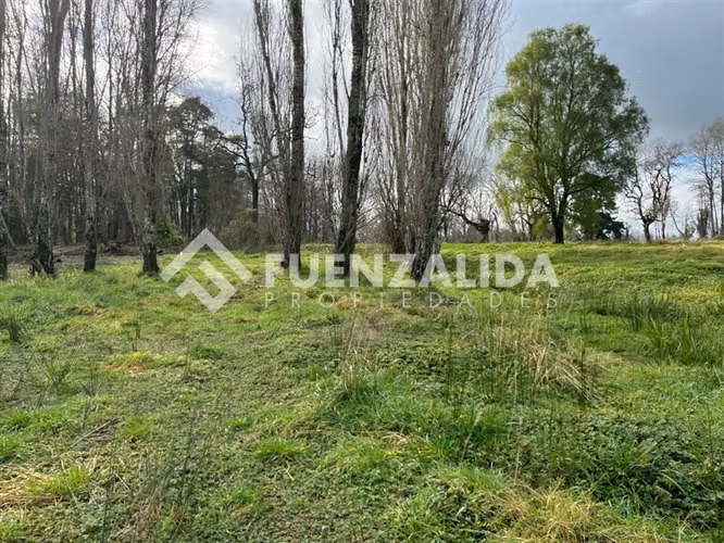 Sitio 5.000 m2 - Parcelación Fundo Frutillar
