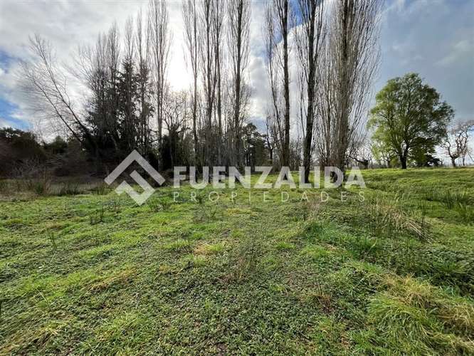 Sitio 5.000 m2 - Parcelación Fundo Frutillar