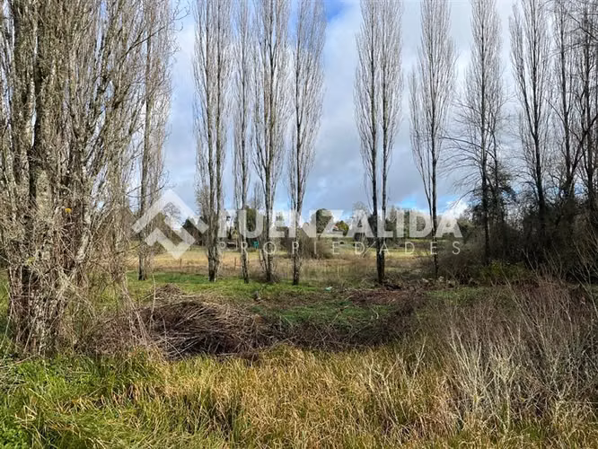 Sitio 5.000 m2 - Parcelación Fundo Frutillar