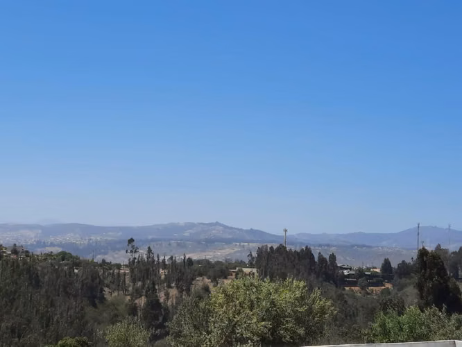 Terreno grande de 2550m2, con 6 departamentos sin terminar - Imagen 3