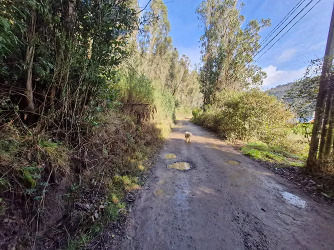 TERRENO PATAGUAL